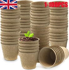 1-100PCS Grow It Biodegradable
