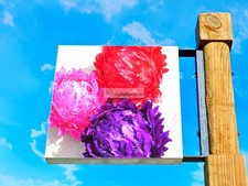 Purple 16 inch Large Feather