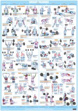Weight Training Poster | Bodybuilding Poster | Exercise Chart | Keep Fit Poster