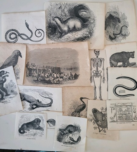 Job lot antique - lot, natural