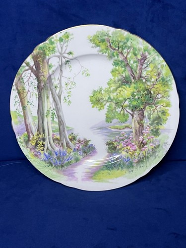Shelley fine bone - bone, china