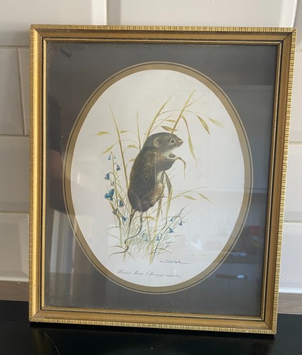 Print joel kirk harvest - by, kirk,