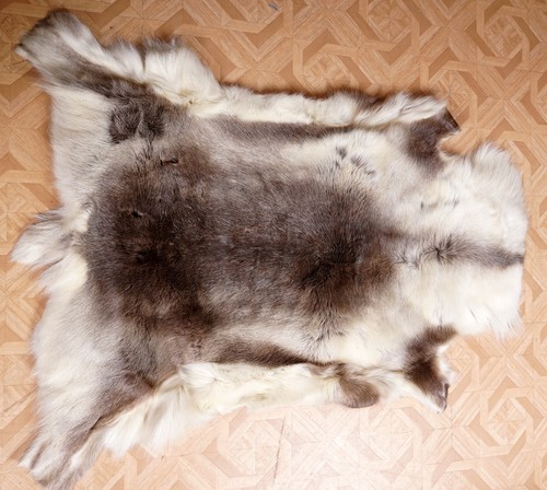Beautiful reindeer fur - beautiful,