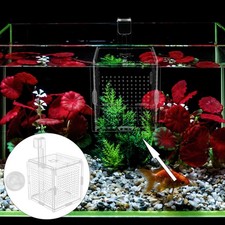 Fish holding box tank - fish,