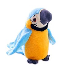 Talking parrot moves repeat - talking,