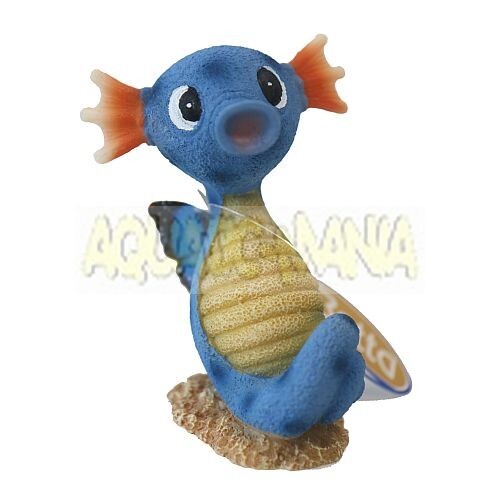 Betta butterfly seahorse - butterfly,