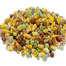 PIGEON MIX - (350g to 20kg) -