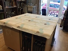 Osborne & Little Chrysanthe