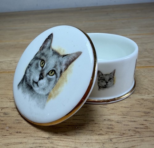 Cat portrait trinket box - trinket,