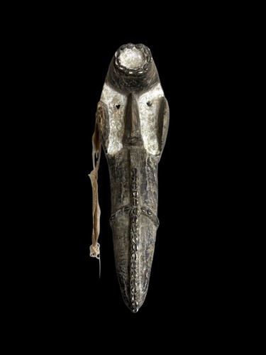 Dan gegon bird - dan,