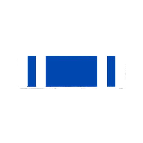 Police service nickel - service, plated