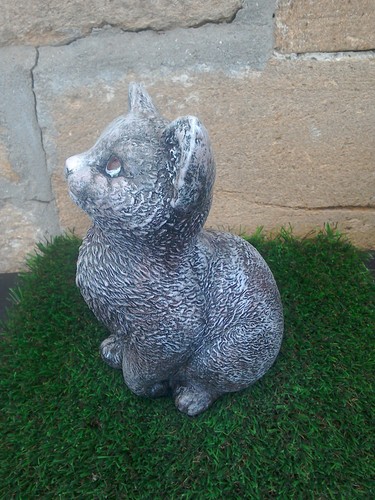 Cat kitten stone garden - cat,