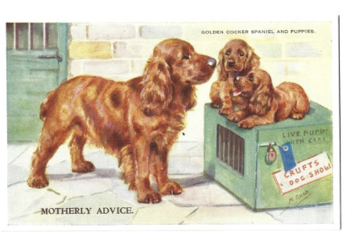 Printed postcard golden - postcard,
