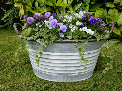 Old vintage french style - vintage,