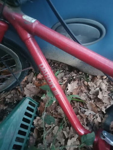 Dahon folding bike