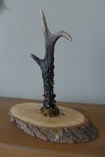 Roe Deer Antler Jewellery Ring