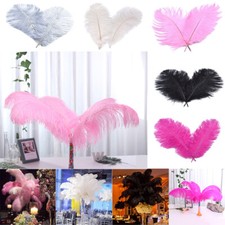 25-60cm Large Ostrich Feathers