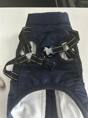 Dog jacket with - dog,