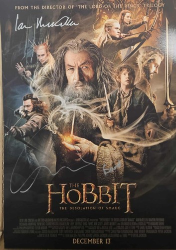 12x16 the hobbit poster - hobbit,