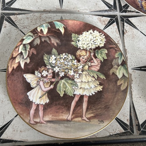 Border fine bone - fine, plate