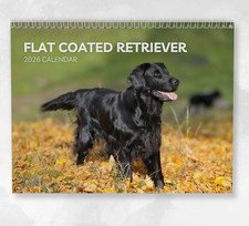 Flat Coated Retriever Calendar