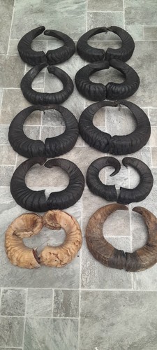Pairs ram horns - 10, of