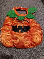 Dogs Halloween Pumpkin Costume