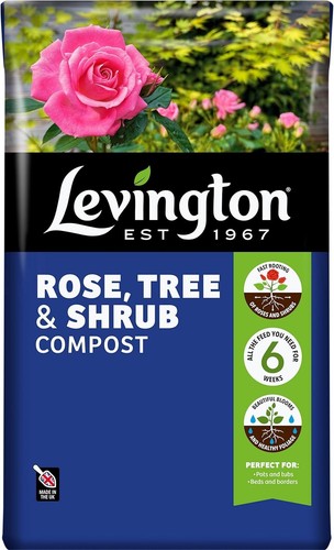 Peat free rose tree shrub - tree, &