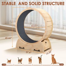 Cat Exercise Wheel 43" Large