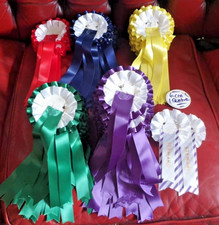 DOG SHOW ROSETTES - 50 ROSETTES - no centres - DOG HORSE - 2 TIER - 1ST - VHC