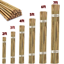 Natural Bamboo Canes Garden