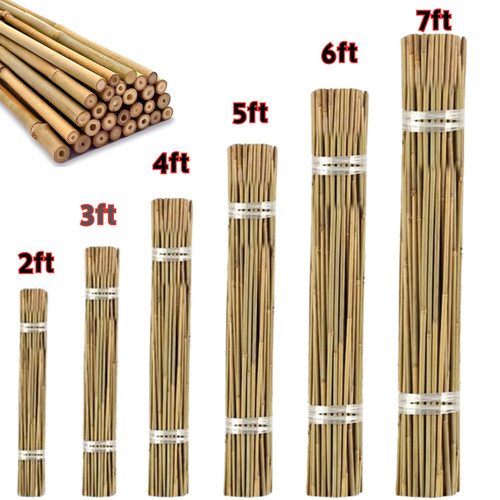 Natural bamboo canes garden - natural,
