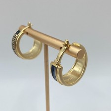 Dior earrings