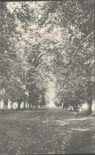 Somerleyton Park The Avenue