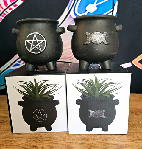 Black cauldron ornament plant - black,