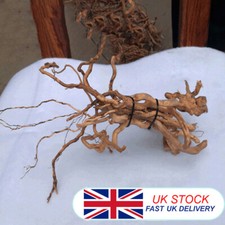 Natural Driftwood Aquarium