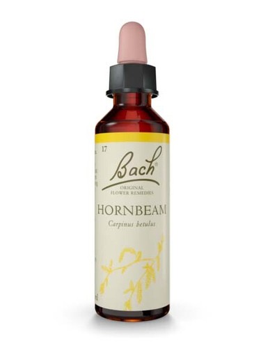 Bach original flower - bach, remedies