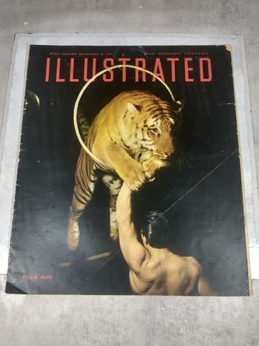 Illustrated magazine - magazine,