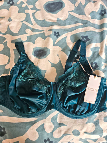 Elomi morgan 36f green lace - morgan,