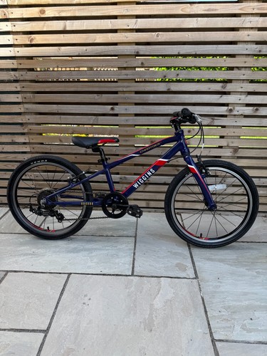 Wiggins charters kids bike - kids,