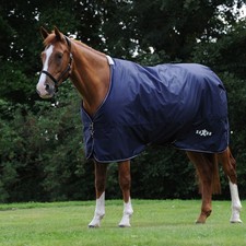 Saxon Horse Defiant 600D