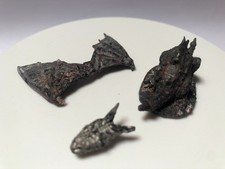 Young Horned Dragon 1985