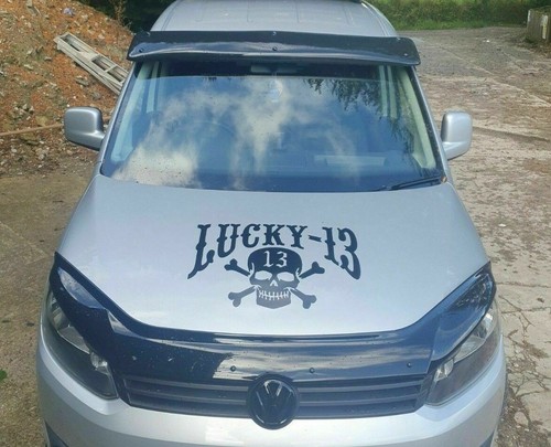 Large 23x16 inch lucky - lucky, 13