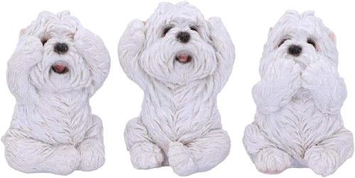 Three wise westies - wise,