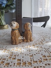 NEXT Charlie Cockapoo Salt &