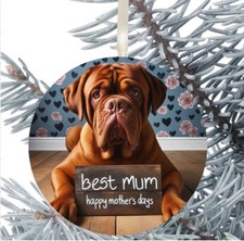 Dogue De Bordeaux Dog Hanging