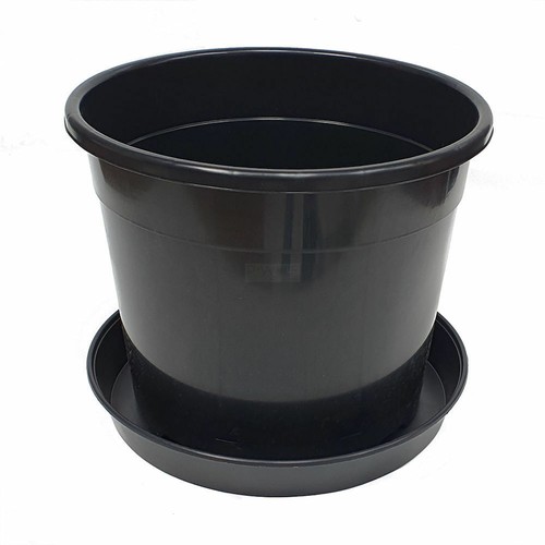 Plant pot 20ltr - plant,