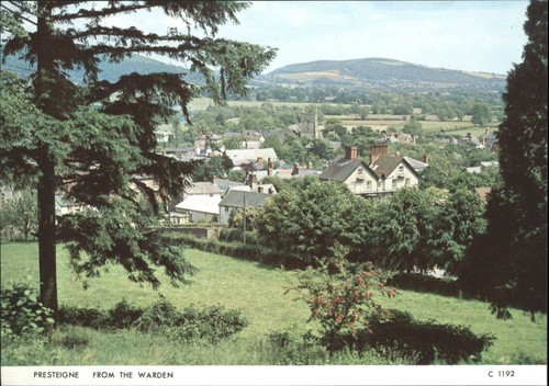 Vintage judges postcards - vintage,