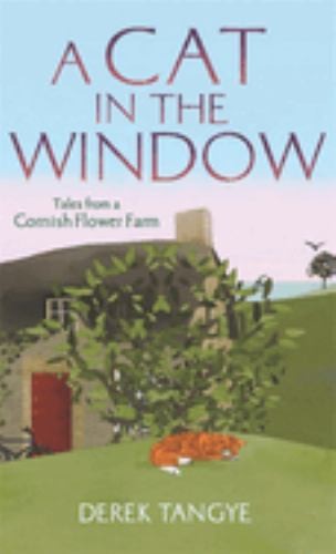 Cat the window tales - cat, window:
