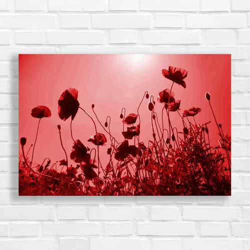 Poppy field flowers - poppy, canvas